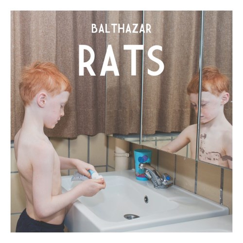balthazar_rats (500 x 500)