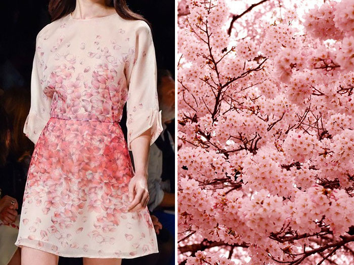 Blumarine S  S 2015 a květy japonské třešně