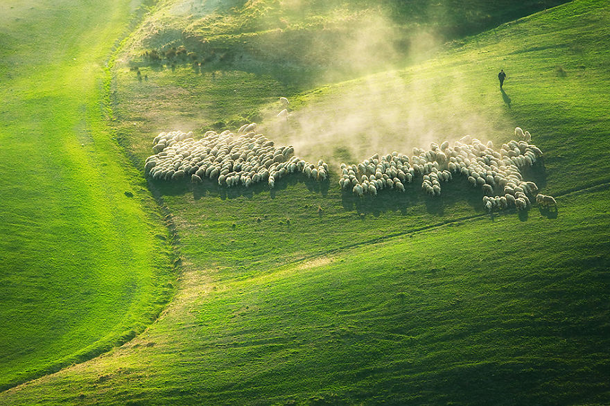 Krásné fotky, toskánské krajiny a stáda ovcí_10