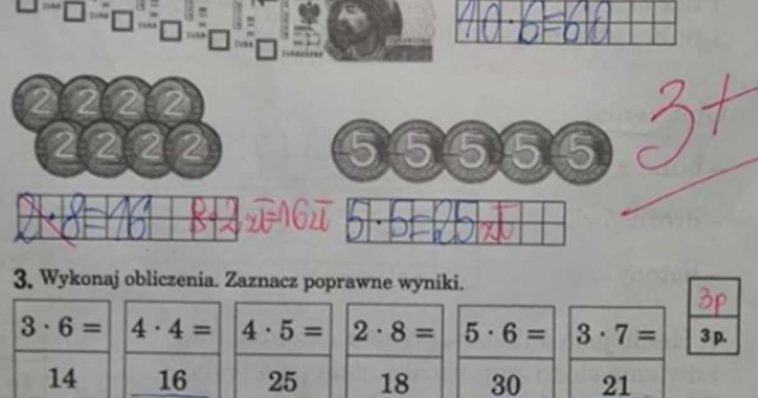 Dítě se vrátilo domů s klasifikovanou prací. Rodiče zuřili a fotku testu umístili na web