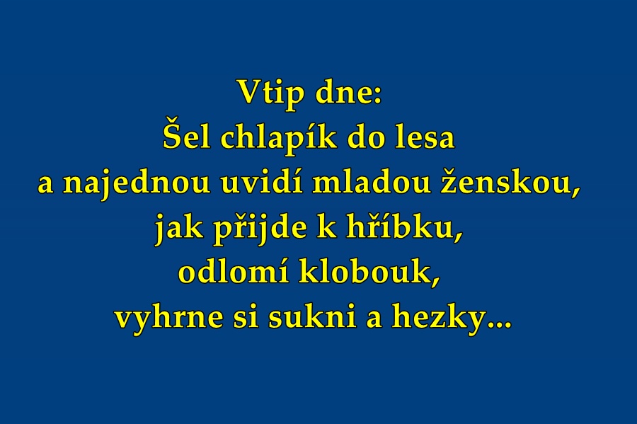 Vtip dne:Šel chlapík do lesa