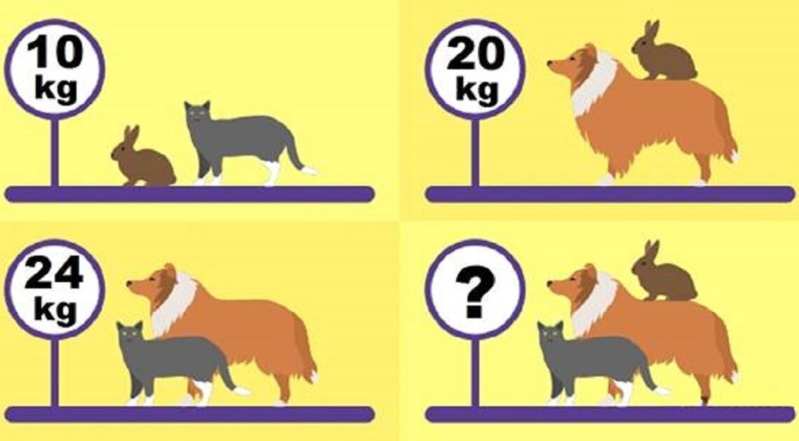 9 z 10 neví správnou odpověď! Kolik kilogramů váží zvířata dohromady?