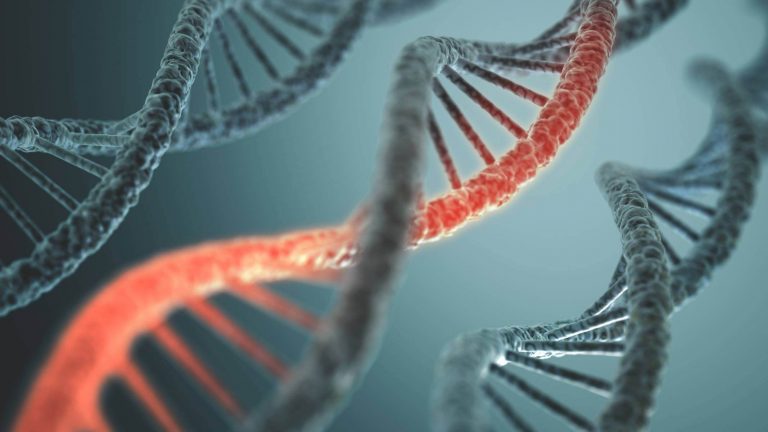 Tajemství původu Čechů odhaleno! Co analýza DNA prozradila o našich předcích?