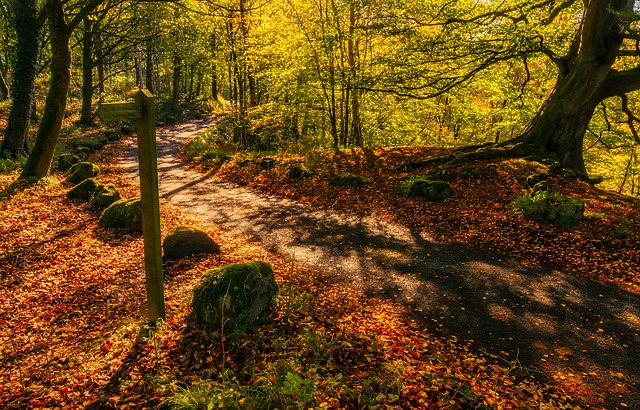 Kdokoli najde ženu na této fotce, je génius: Mnozí to zkusili a neuspěli