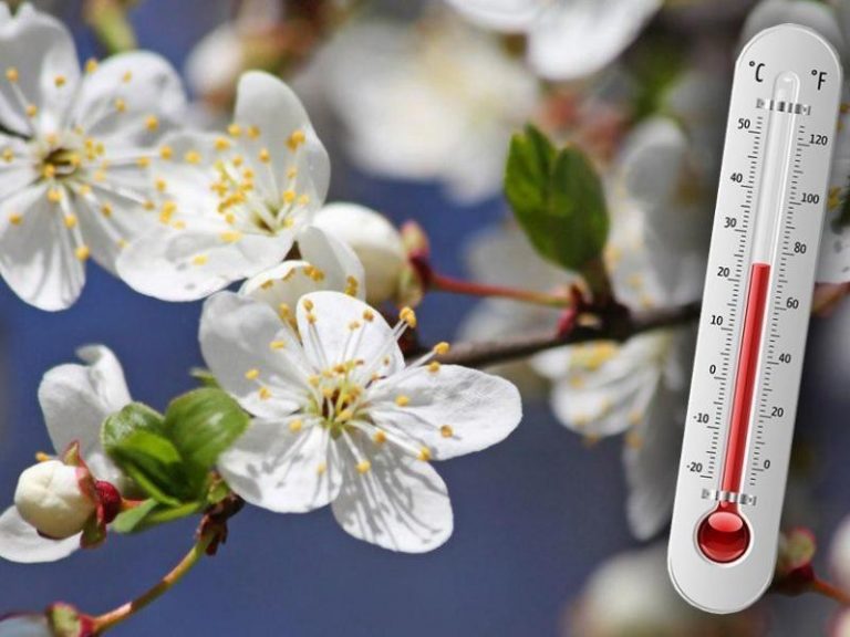 Meteorologové prozradili předpověď na jaro. Největší překvapení přinese březen