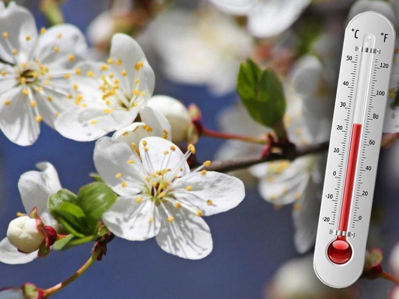 Meteorologové prozradili předpověď na jaro. Největší překvapení přinese březen