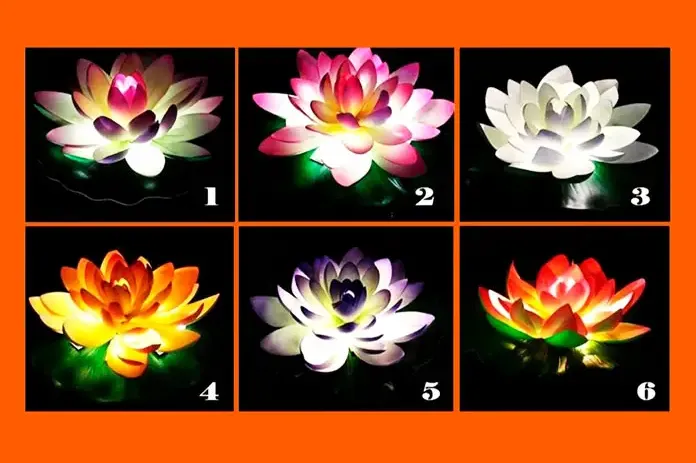 VYBERTE SI NEJKRÁSNĚJŠÍ LOTUS: Toto jsou věci, které musíte udělat, ABYSTE BYLI V ŽIVOTĚ ŠŤASTNÍ
