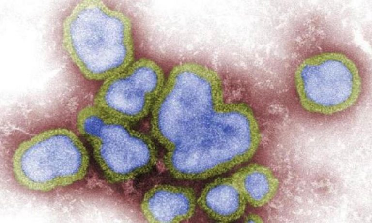 Na Evropu útočí smrtící virus. Pozor si dejte na tyto příznaky, léčba neexistuje