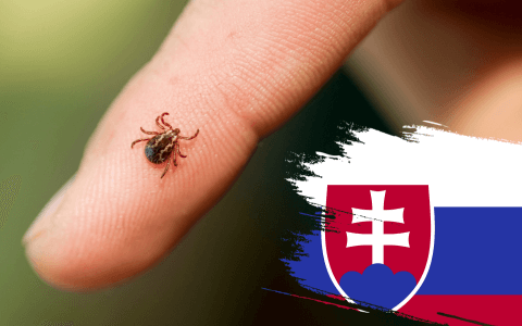 Můžete darovat krev, když Vás kouslo klíště?