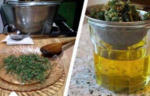 Zapomeňte na léky, spolehněte se na přírodu: S tímto čajem zapomeňte na závratě, vysoký cholesterol a onemocnění štítné žlázy