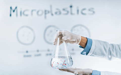 Vědci našli mikroplasty ve všech zkoumaných lidských a psích varlatech