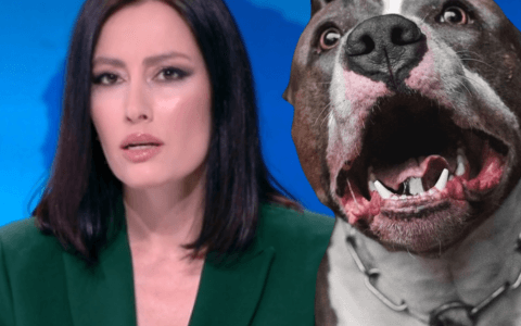 Tragický incident: Žena zemřela po útoku vlastního psa