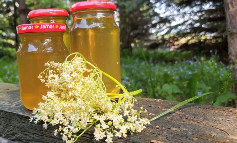 Vitamínová bomba na posílení imunity: Recept na výrobu bezového sirupu jako od babičky