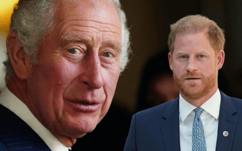 Britský král Karel III. definitivně zlomil hůl nad Harrym