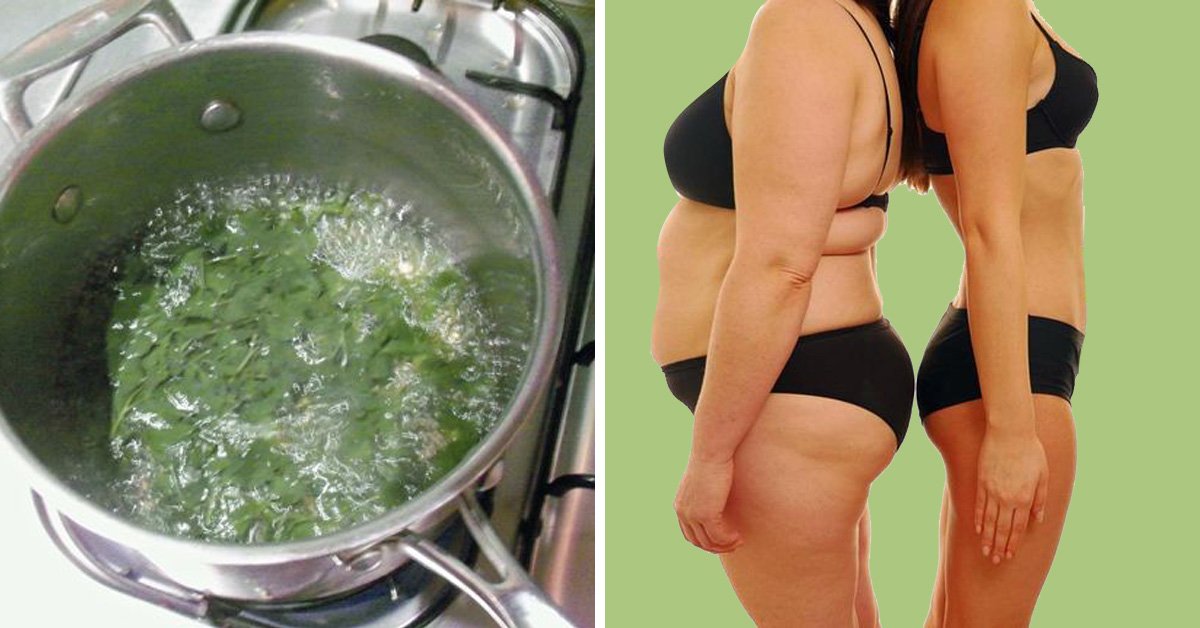 Vyzkoušela jsem asi milion triků, ale zhubla jsem jen tímto levným zázrakem: piju skoro 4 týdny, zhubla jsem 5 kg a hladinu cholesterolu mám v normě!
