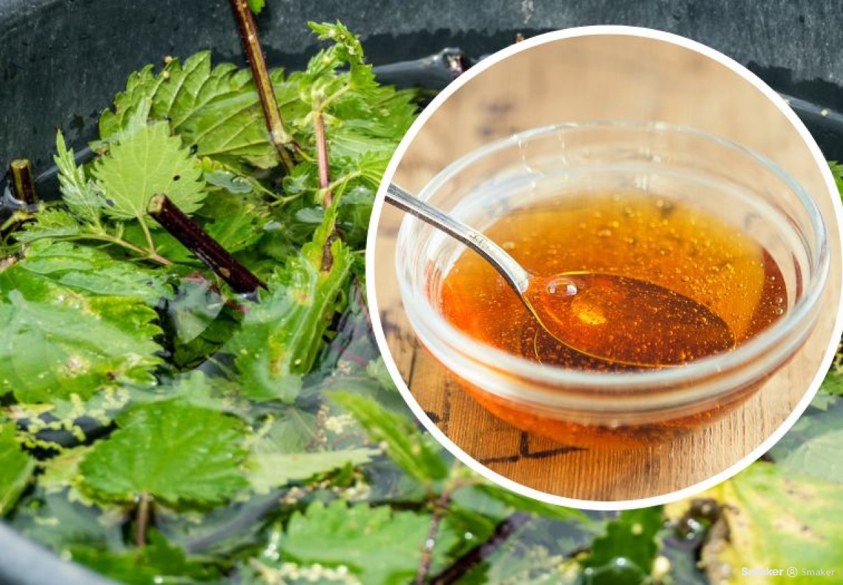 Všichni chválí kopřivový sirup, ale tento je ještě účinnější: Dvě čajové lžičky denně detoxikují, čistí krev a posilují imunitní systém!