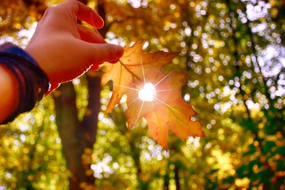 Podzim všechno mění. Nové předpovědi nedají meteorologům spát