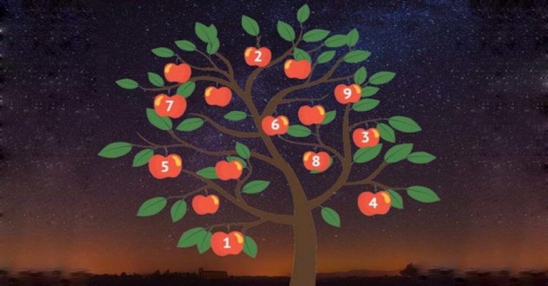 Vyberte si jablko ze stromu přání a obdržíte speciální zprávu