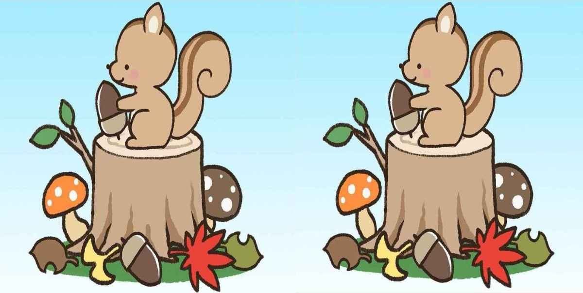 Hádanka: Najdete 3 rozdíly během 10 sekund?