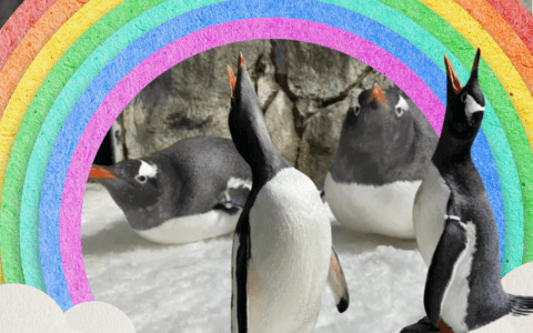 Skutečný příběh lásky: Gay tučňák Sven nás navždy opustil