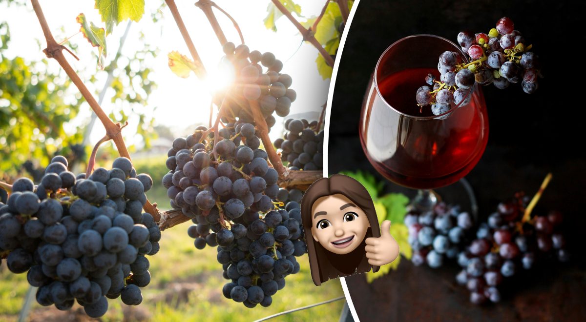 Recept na domácí víno každého mile překvapí