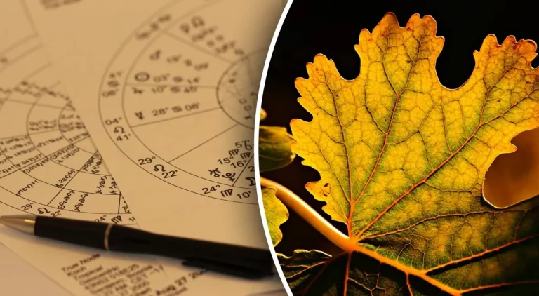 Horoskop na týden od 9. do 15. září: Panny mají problémy, Lvi budou potřebovat trpělivost