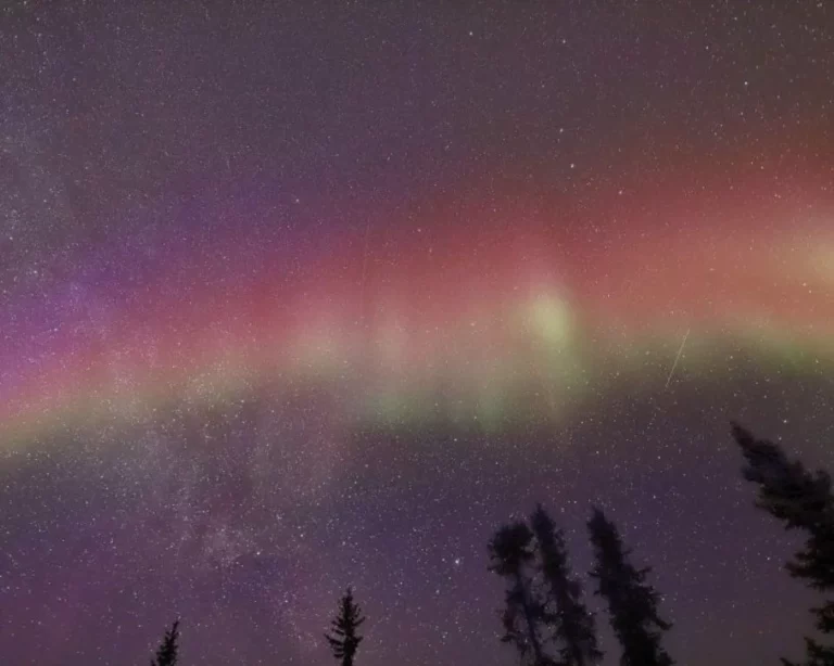 Dostanou osudové znamení shora: Astrologové pojmenovali 2 znamení zvěrokruhu, která v blízké budoucnosti najdou dlouho očekávané štěstí