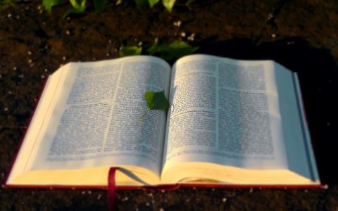 Vědci probudili biblickou rostlinu z rajské zahrady po 1000 letech
