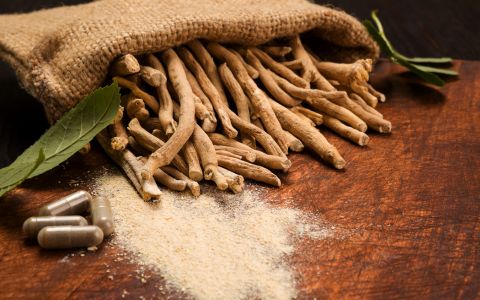 Ashwagandha: Bylina s tisíciletou tradicí a její přínosy pro ženy