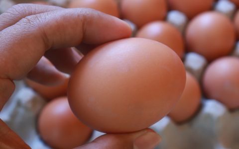 Kolik vajec denně je zdravé jíst? Odpovědi od odborníků