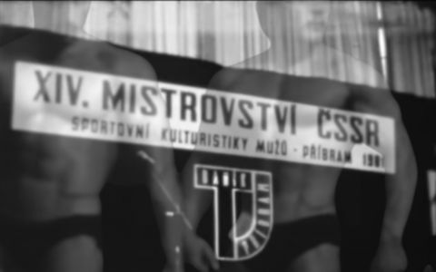První Mistrovství ČSSR v kulturistice: Historie československé síly