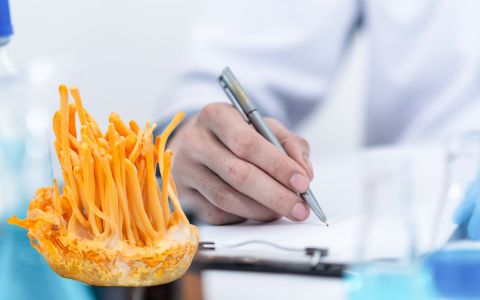 Cordyceps: Jak bojuje proti infekcím a mikroorganismům