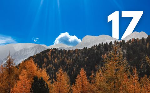 17. října: Číslo 17 vrátí 4 znamení zvěrokruhu zpět na cestu ke štěstí!