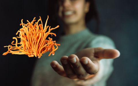 Cordyceps a jeho potenciál pro duševní zdraví