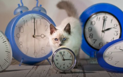 Vědci bijí na poplach: Den už nemá 24 hodin!