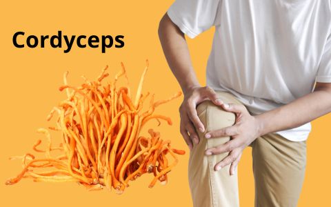 Cordyceps a revmatoidní artritida: Může tato houba přinést úlevu?