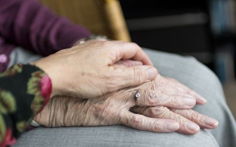 Které potraviny snižují riziko demence u seniorů?