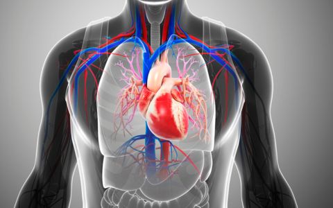 Zdravý tip dne, 14. října: Doktor: Jezte je každý den, tyto podzimní potraviny jsou pro srdce to nejlepší