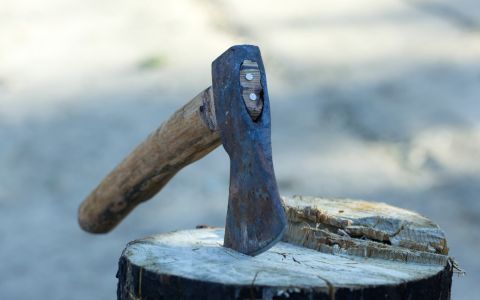 Brutální vražda lékařky v Plzni: Primář ji ubil sekerou
