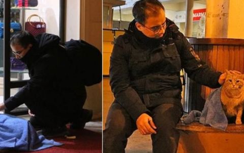 Zubař tráví mrazivé večery tím, že přikrývá opuštěné psy a kočky dekami