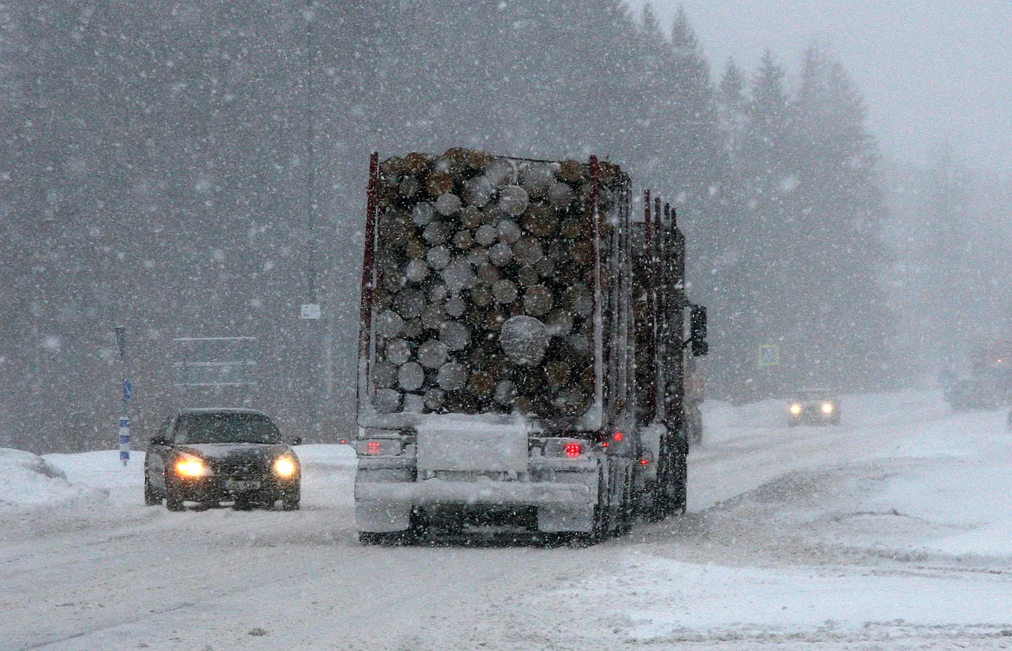 Sníh rozděluje Česko na dvě části. Sněhová bouře začne za několik hodin