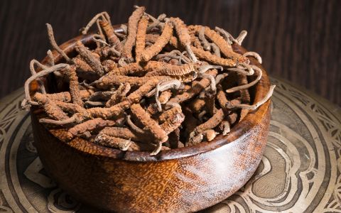 Houba Housenice čínská (Cordyceps): Cenný poklad pro zdraví a vitalitu