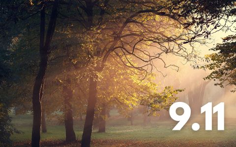 9. listopadu: Číslo 9 probudí tato 4 znamení z jejich hlubokého spánku!