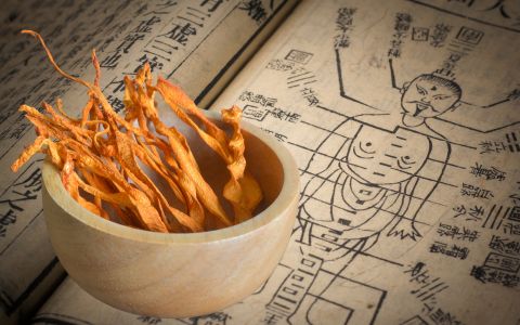 Cordyceps: Výjimečná houba s blahodárnými účinky