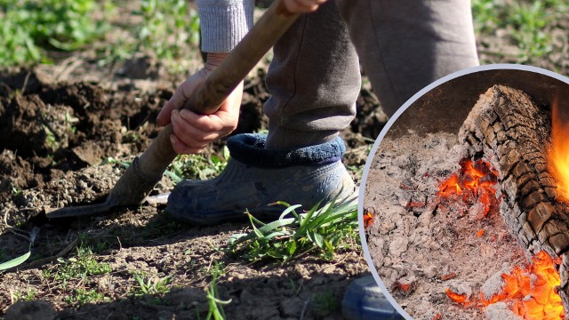 Zapomenutý poklad našich babiček: Dřevěný popel, který vám pomůže přežít výpadky elektřiny a možná i válku!