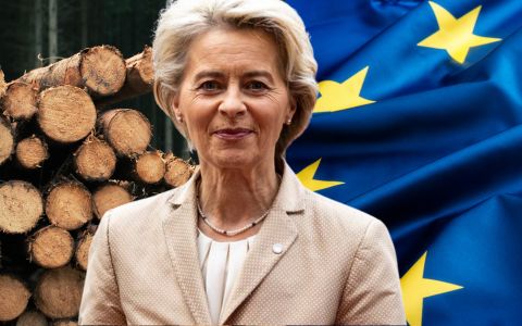 Bude dřevo jen pro bohaté? EU plánuje přísnější regulace krbů a kamen