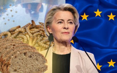 Hmyzí prášek v chlebu? Nové nařízení EU mění pravidla a lidé protestují