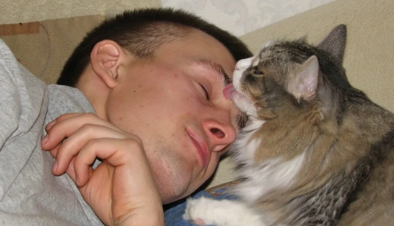 Proč kočka spí vedle člověka? Hlavní důvody a na co si dát pozor