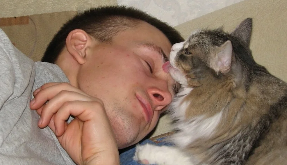 Proč kočka spí vedle člověka? Hlavní důvody a na co si dát pozor