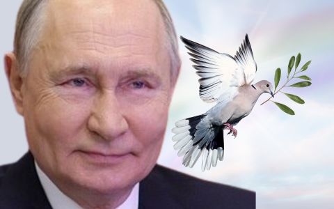 Putin překvapil návrhem: Mír na Ukrajině pod dohledem OSN a nové volby?